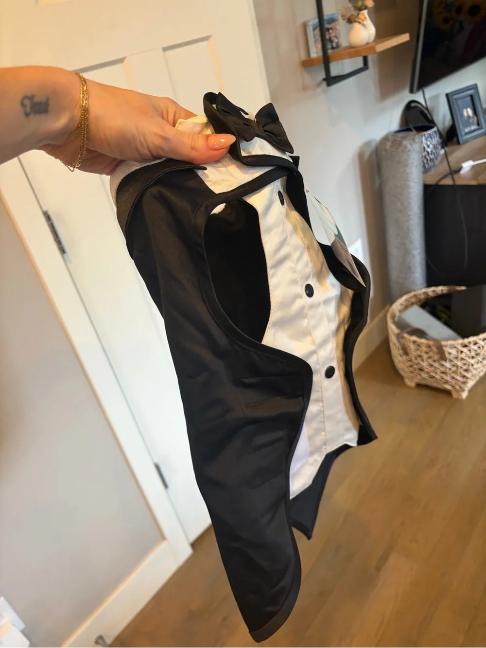 (2) Dog tuxedos and bow tie